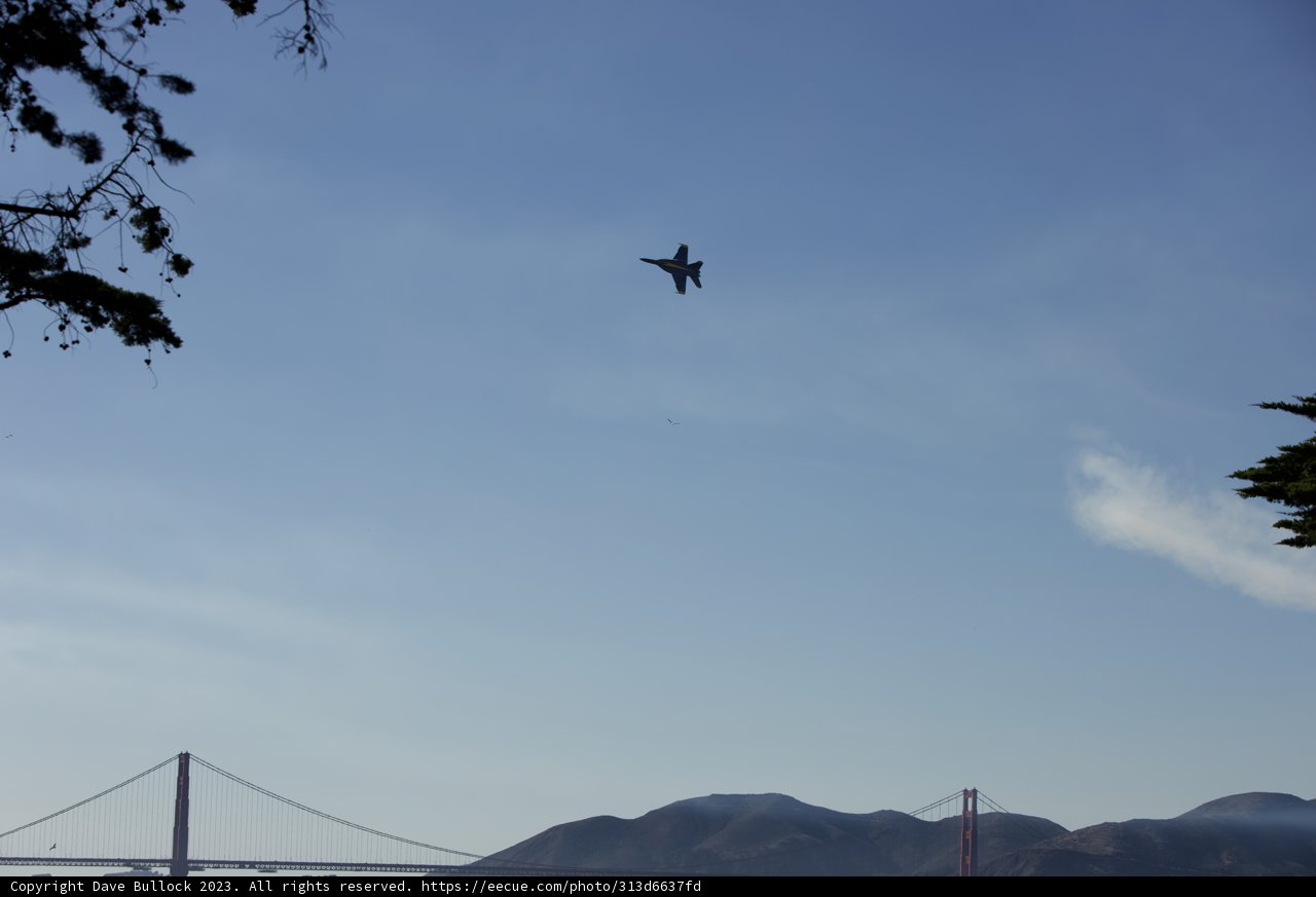 Majestic Flight Over Great Meadow Park