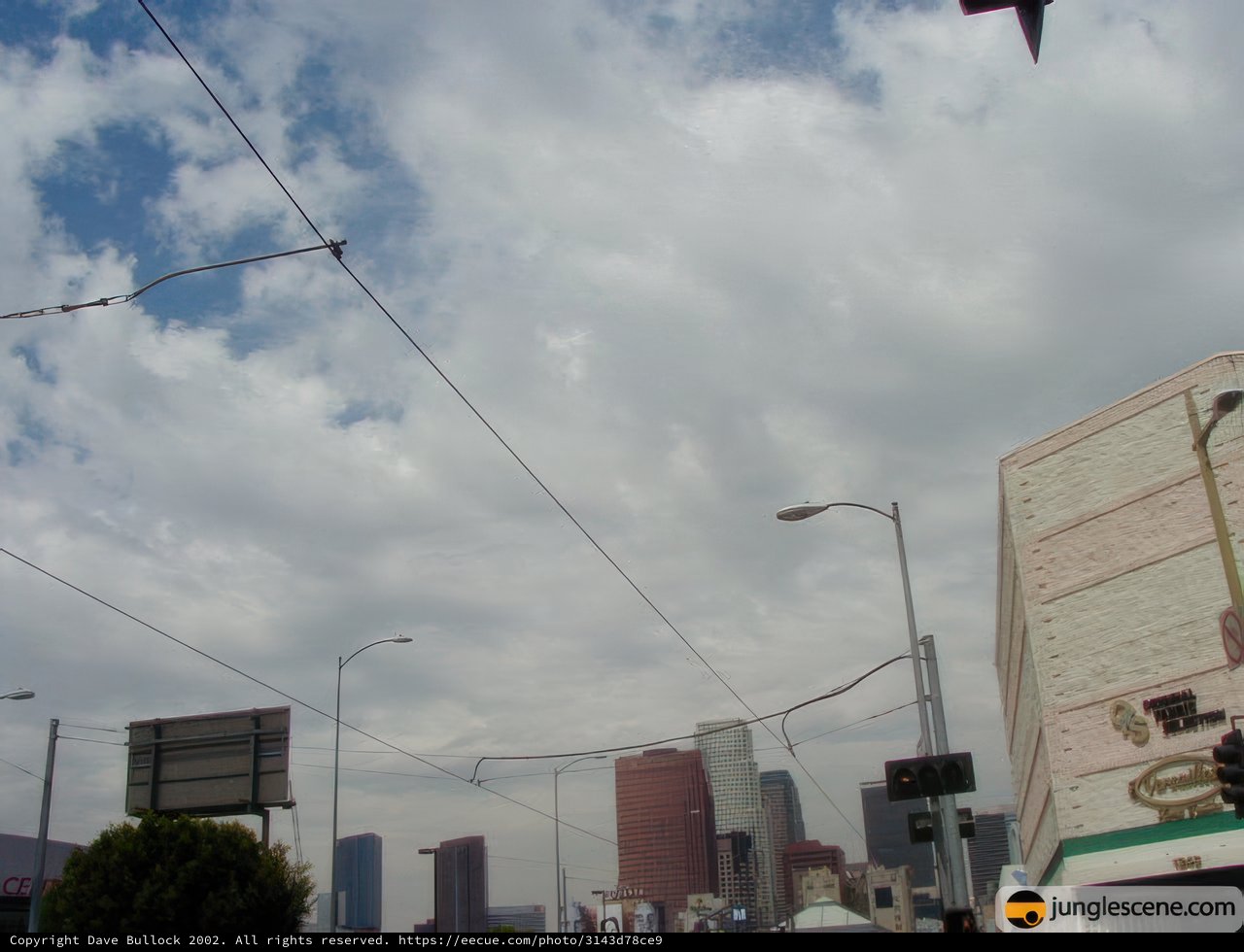 Urban Skyscraper Shadowed by Cumulus Clouds
