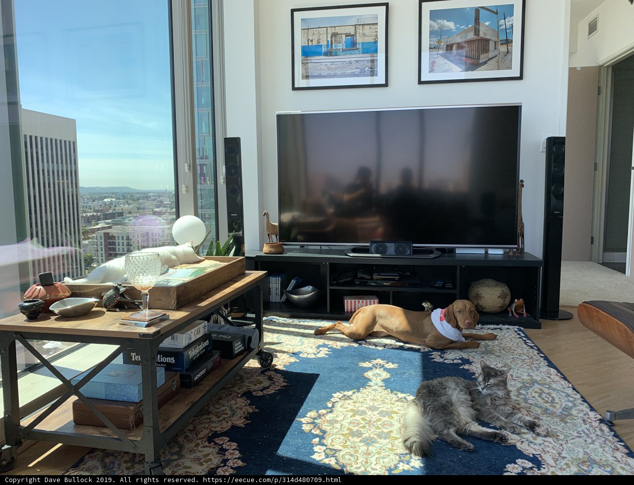 Ultimate Entertainment Center