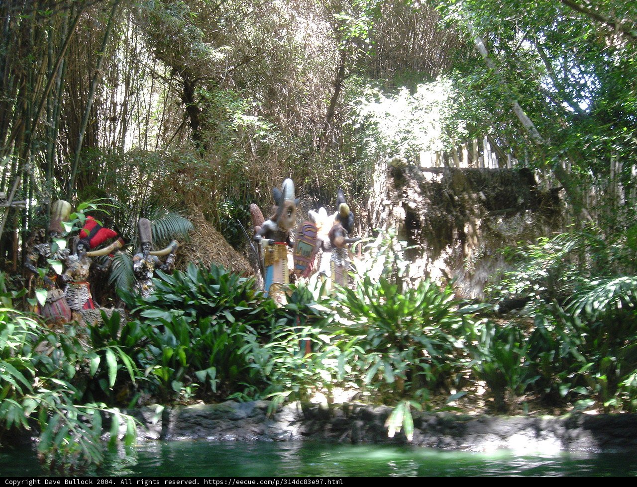 Jungle Adventures