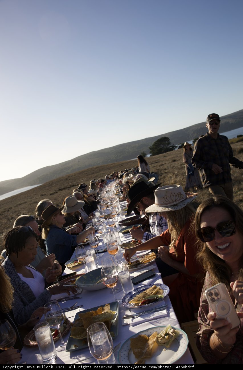 Finding Communion in Commensality: Hog Island Oyster Co. Brunch