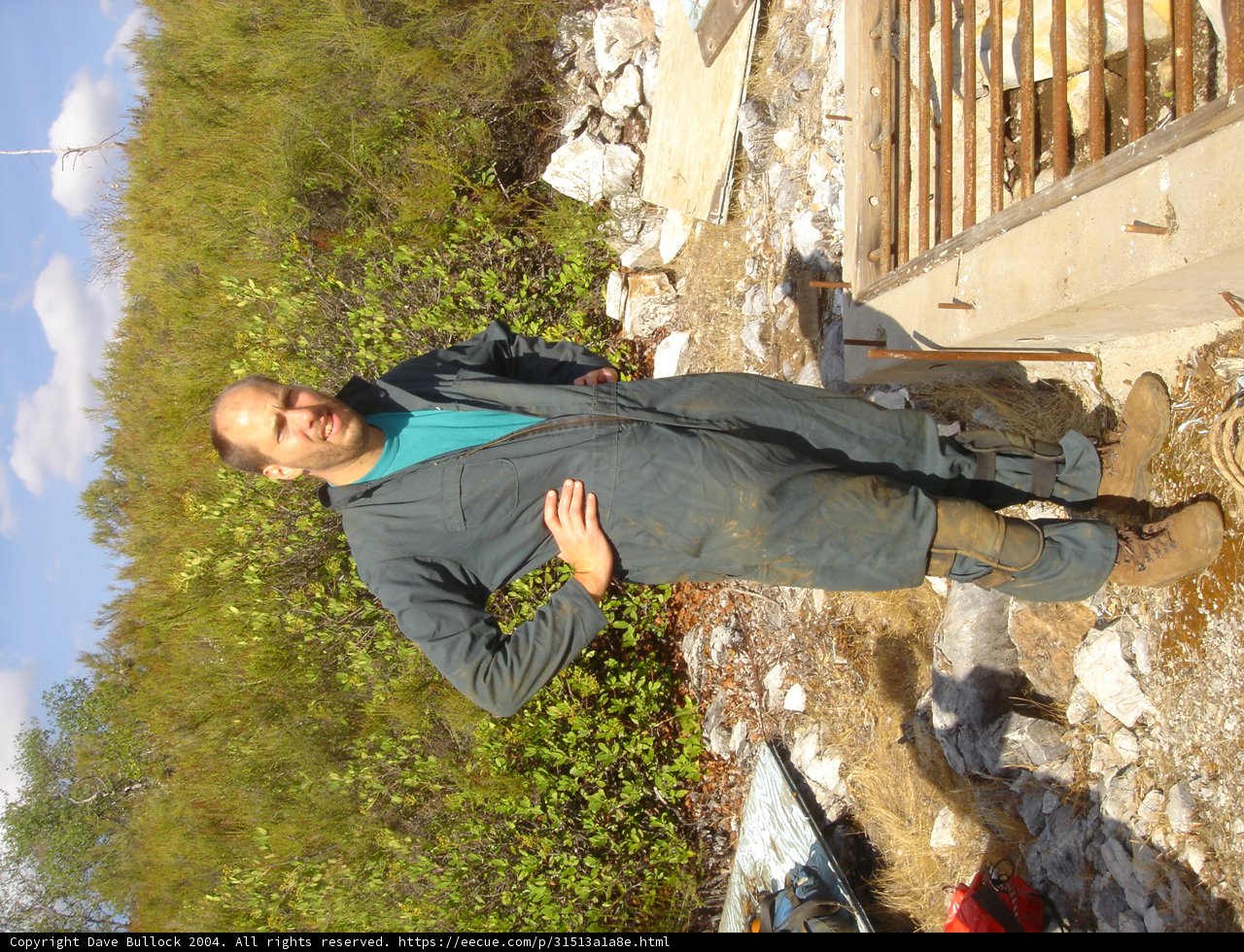 Standing Tall on Slate and Rocks