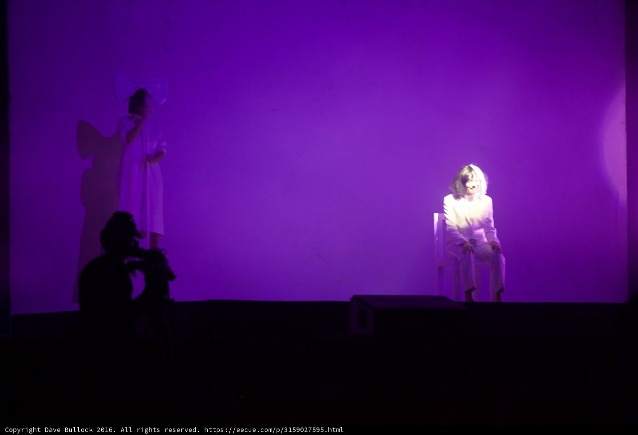 Purple Spotlight