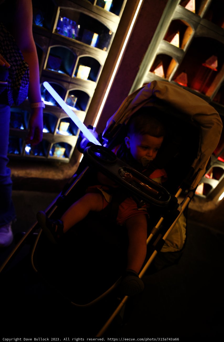 Magical Moments: Wesley's Disney Adventure