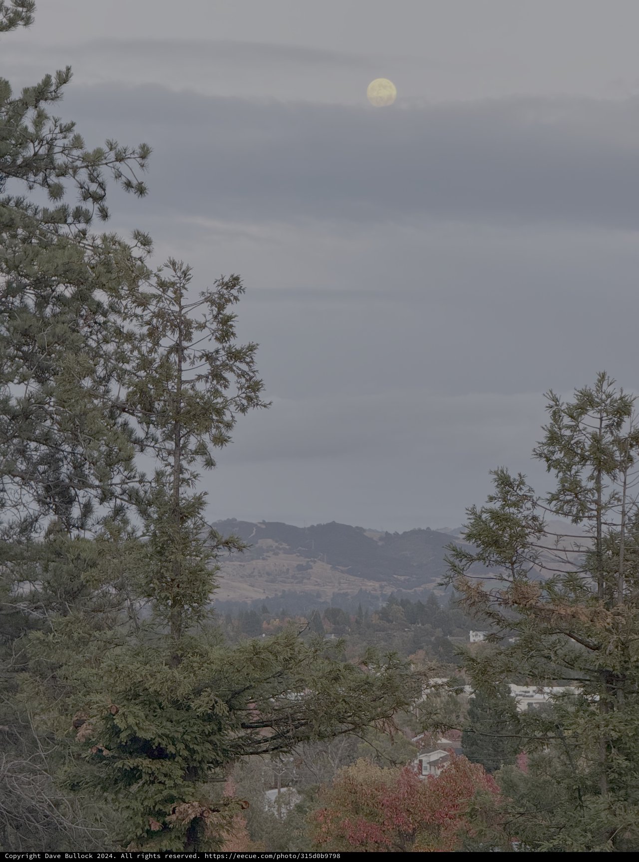 Misty Moon Rising Over Hillside Valley