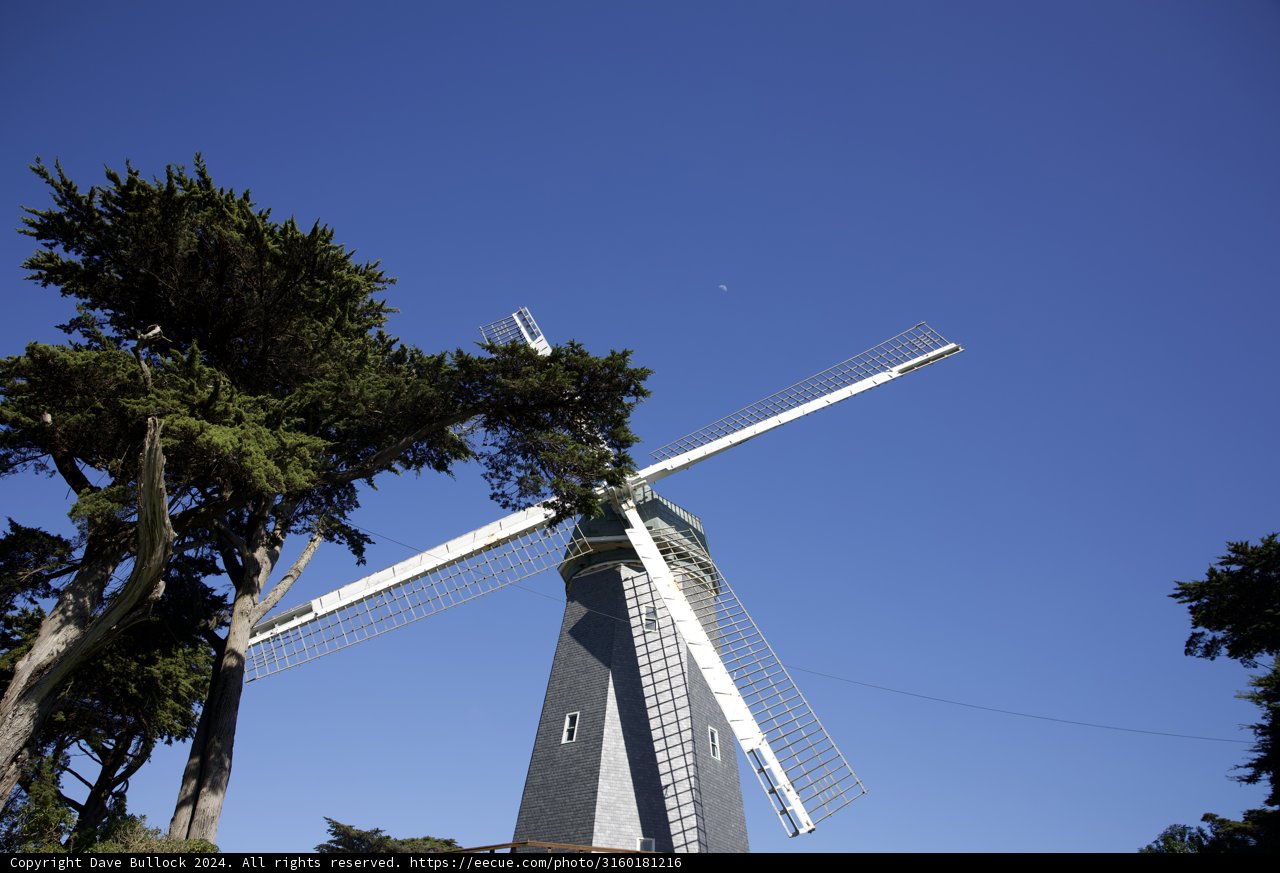 Power of Nature at Golden Gate Park, 2024