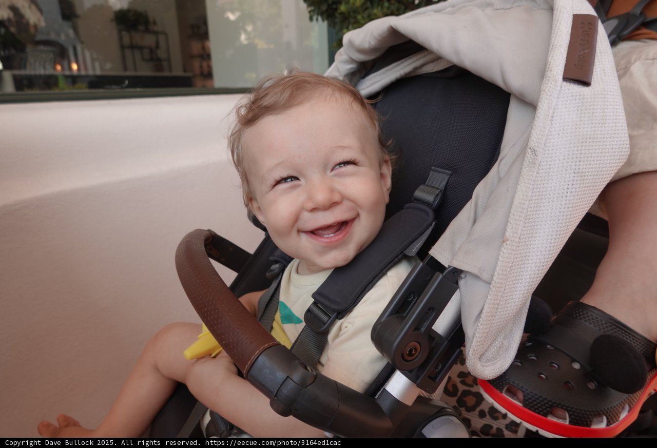 Joyful Stroll with Baby