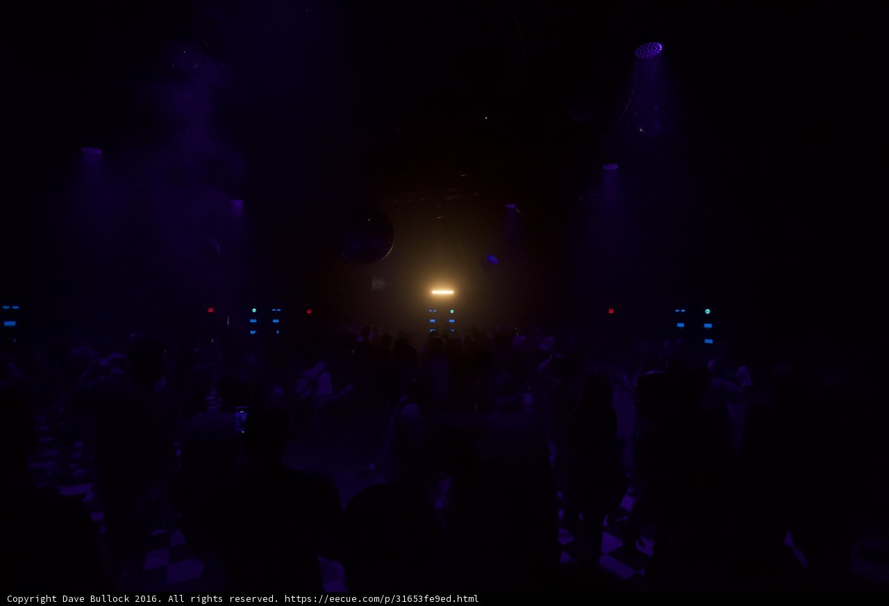 Nightclub Fun at Coachella