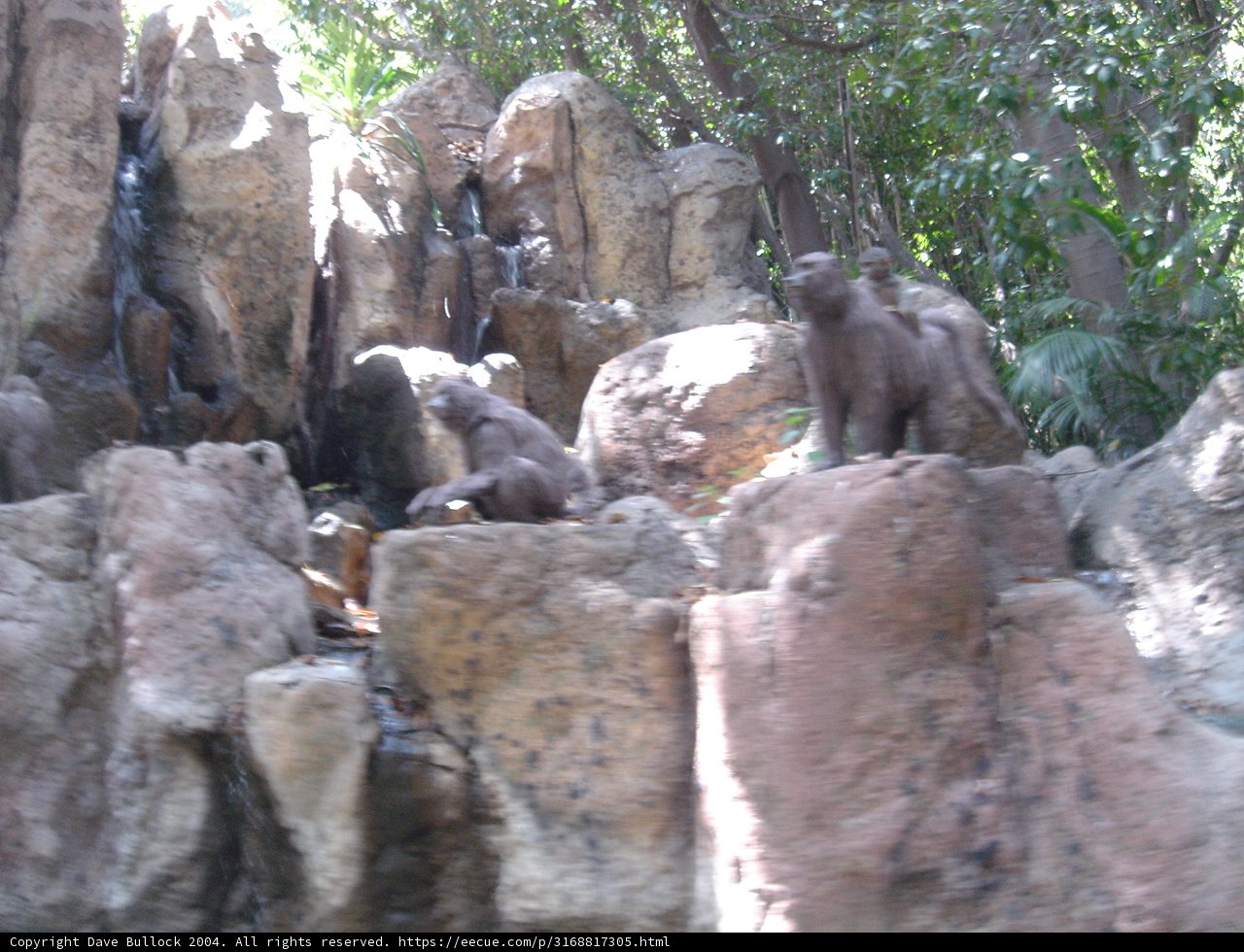 The Bears of the Park