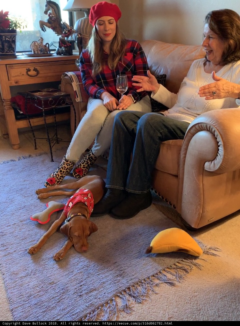 Cozy Christmas with Rhoda, Lori, and Dog