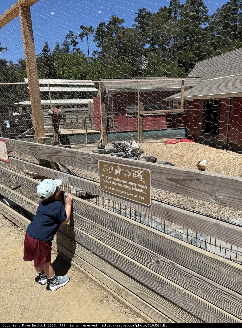 Curious Minds at the Zoo