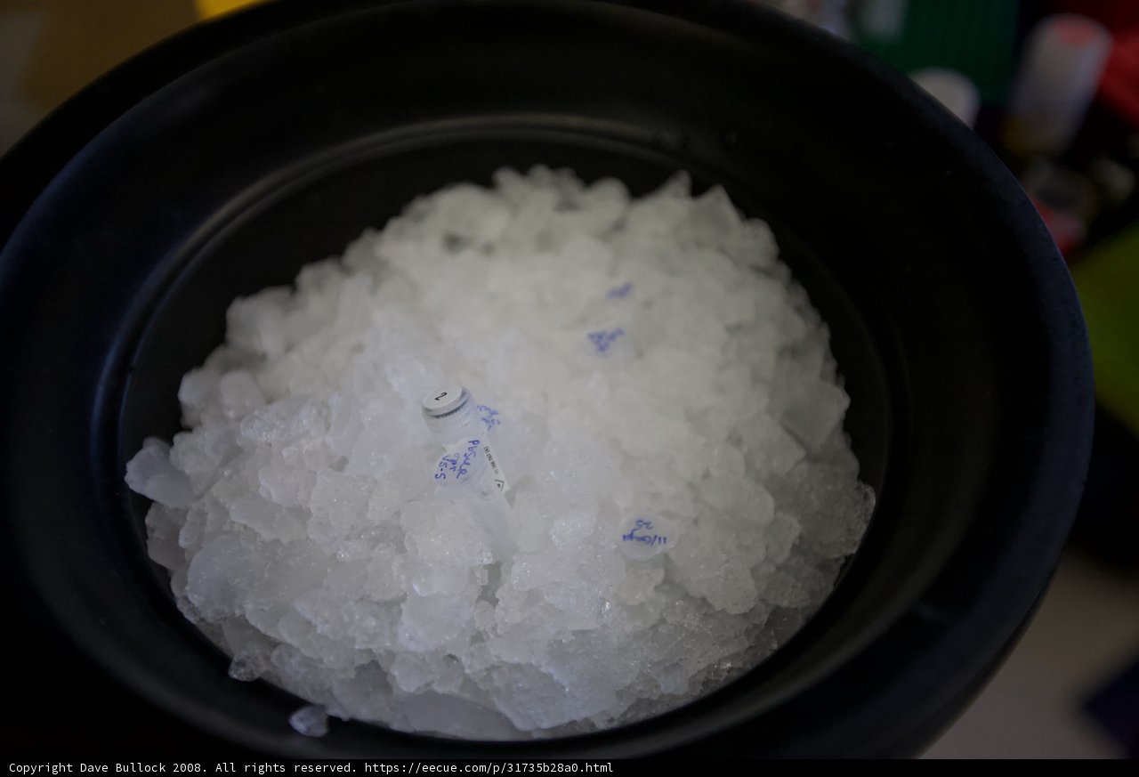 Frozen Crystals in a Bowl of Ice