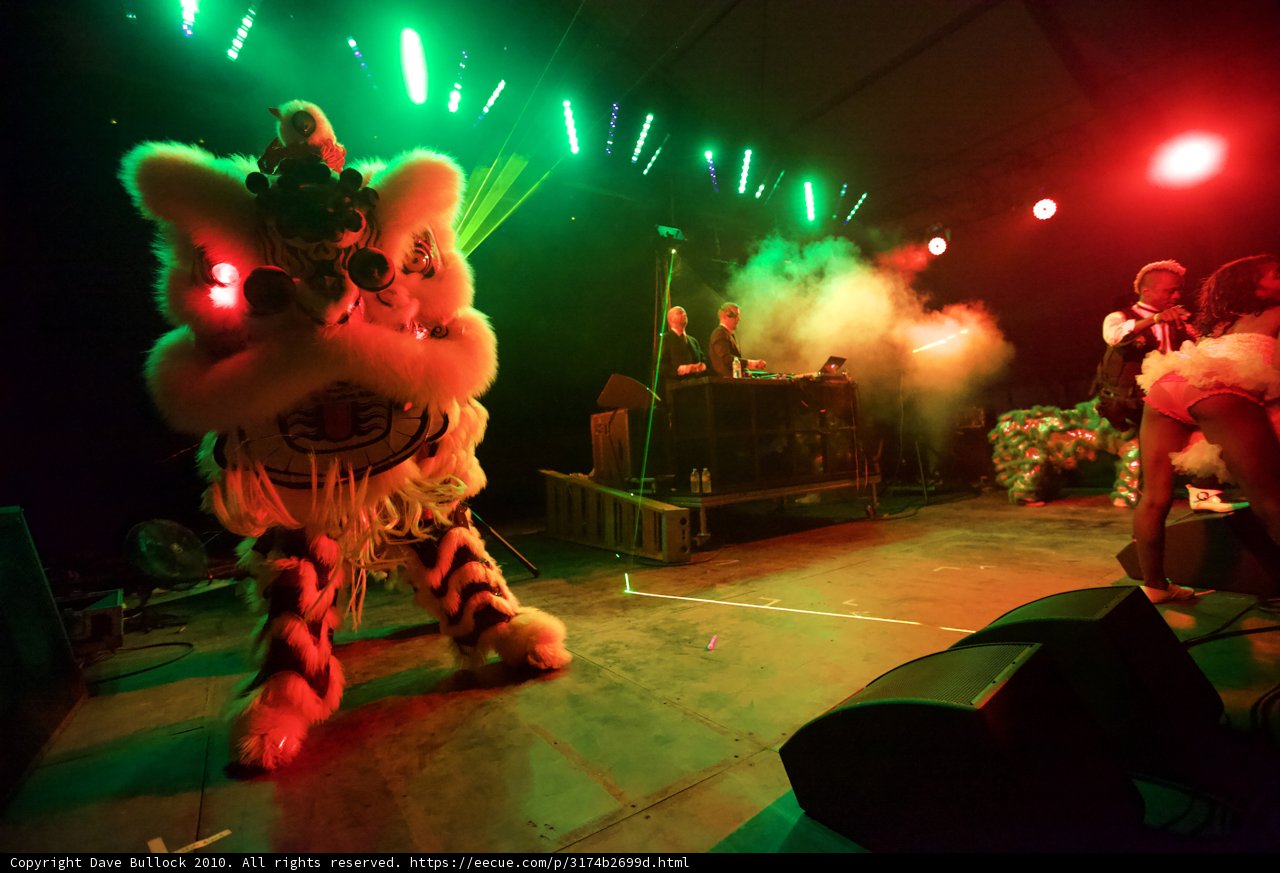 The Lion King Takes the Stage