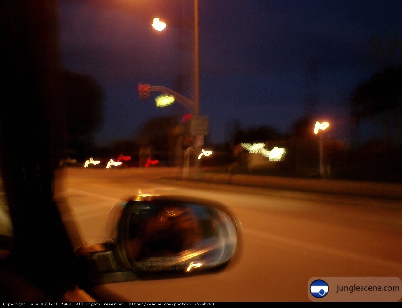 Nighttime Cruise