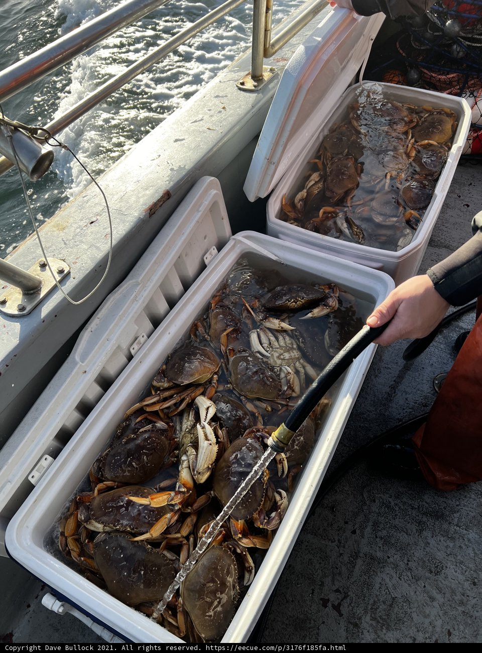 Catching Crabs on the High Seas