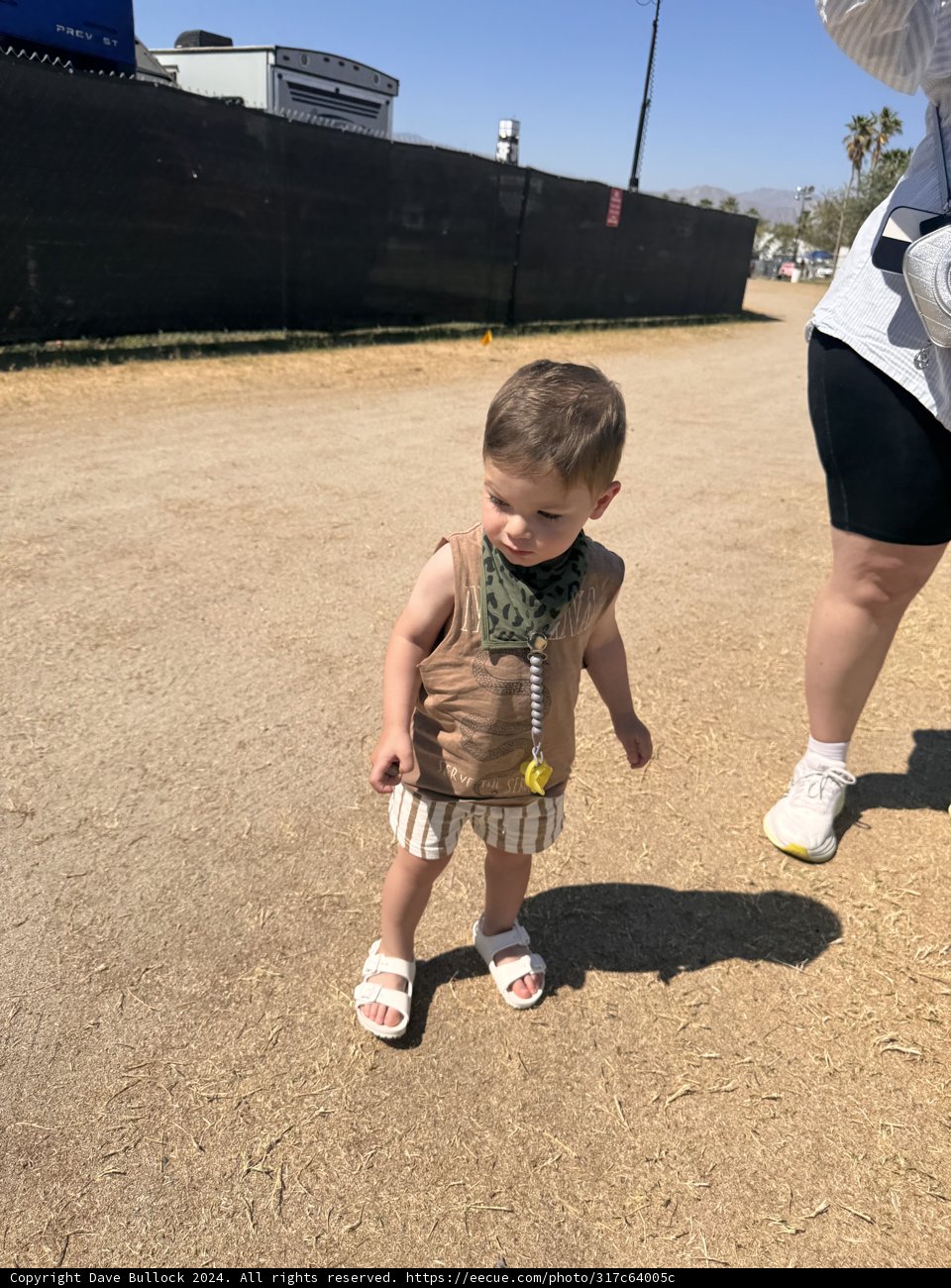 Sunny Stroll: A Toddler’s Day Out