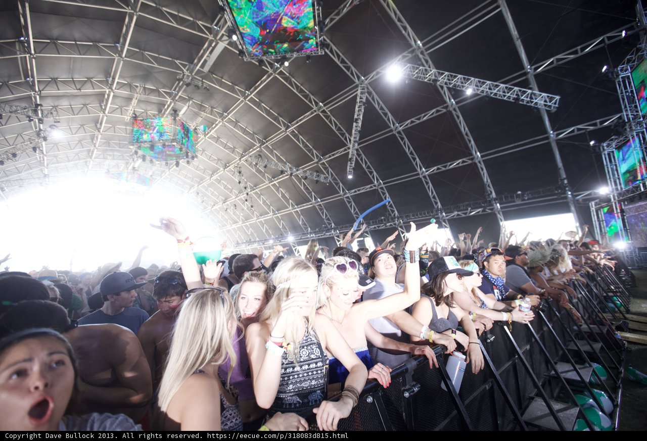 Coachella Crowd Goes Wild