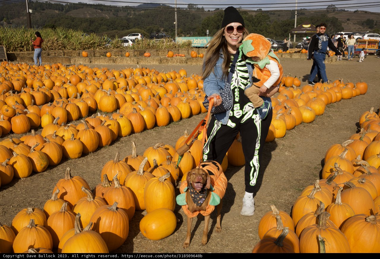 Harvesting Memories at Halfmoon Bay