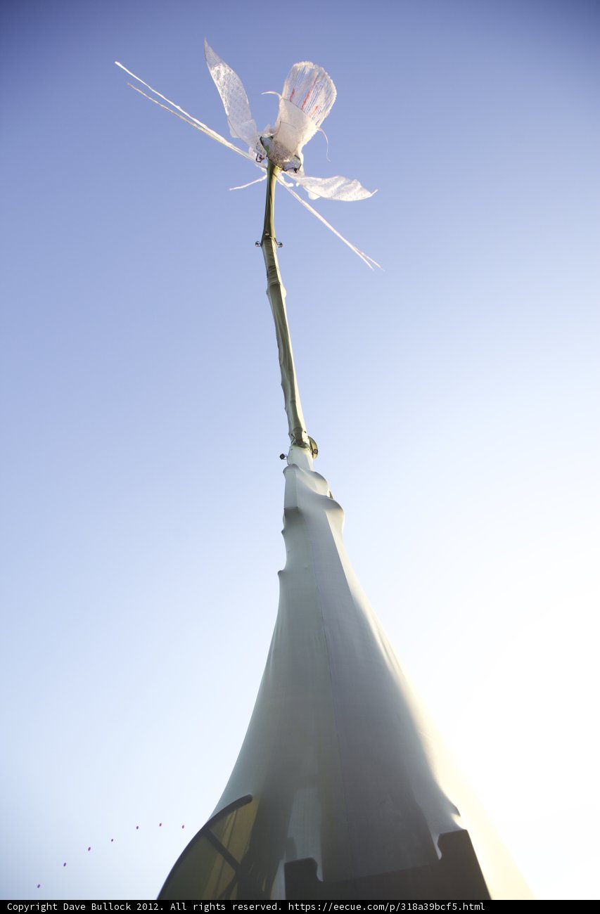 A Flower in the Sky