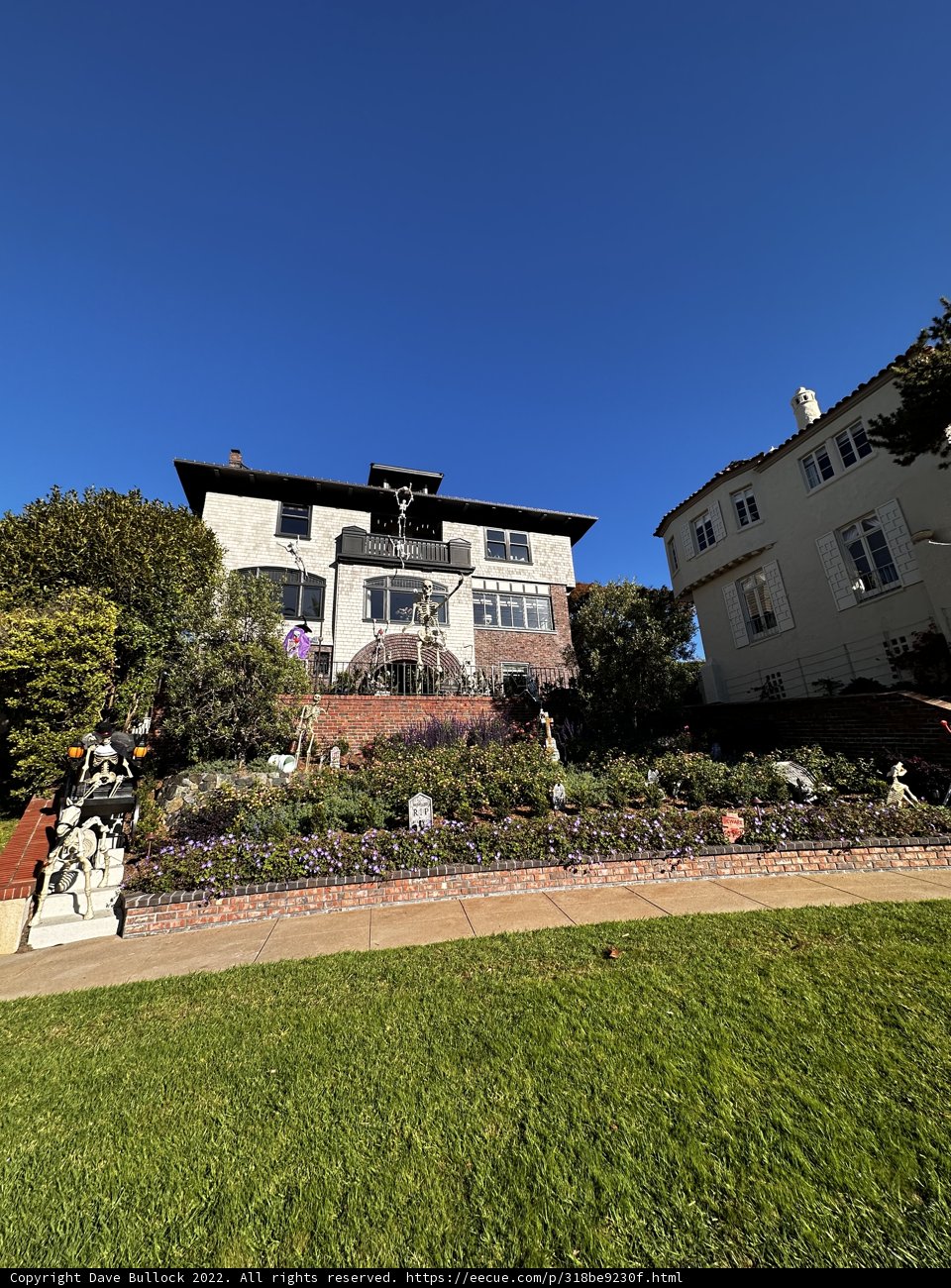 Serene Villa with a Lush Garden