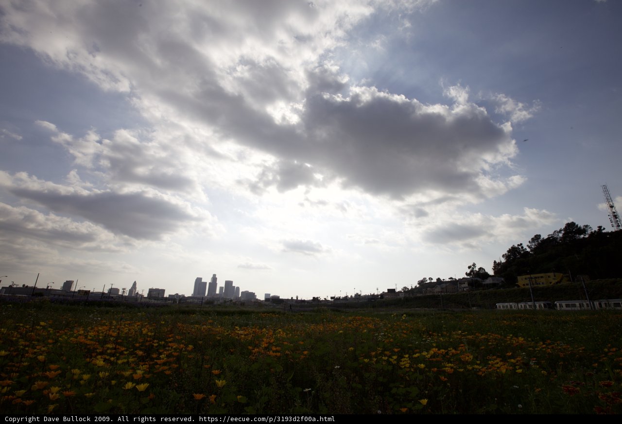 City in Bloom