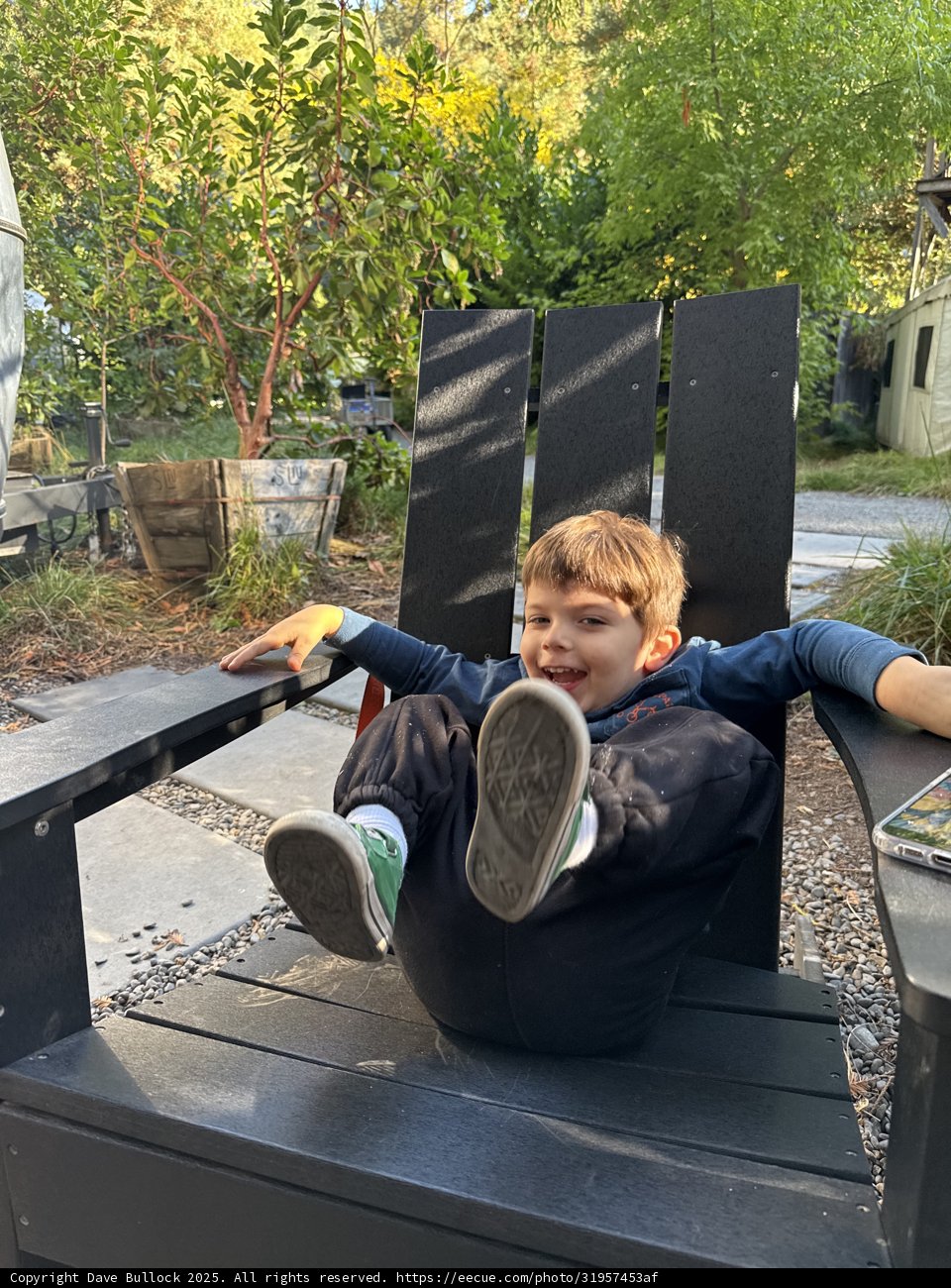 Joyful Moments in the Backyard