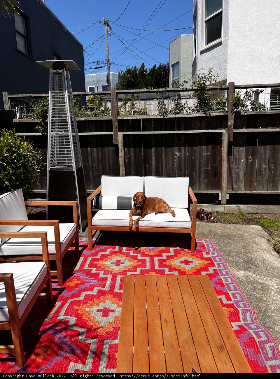 Backyard Bliss