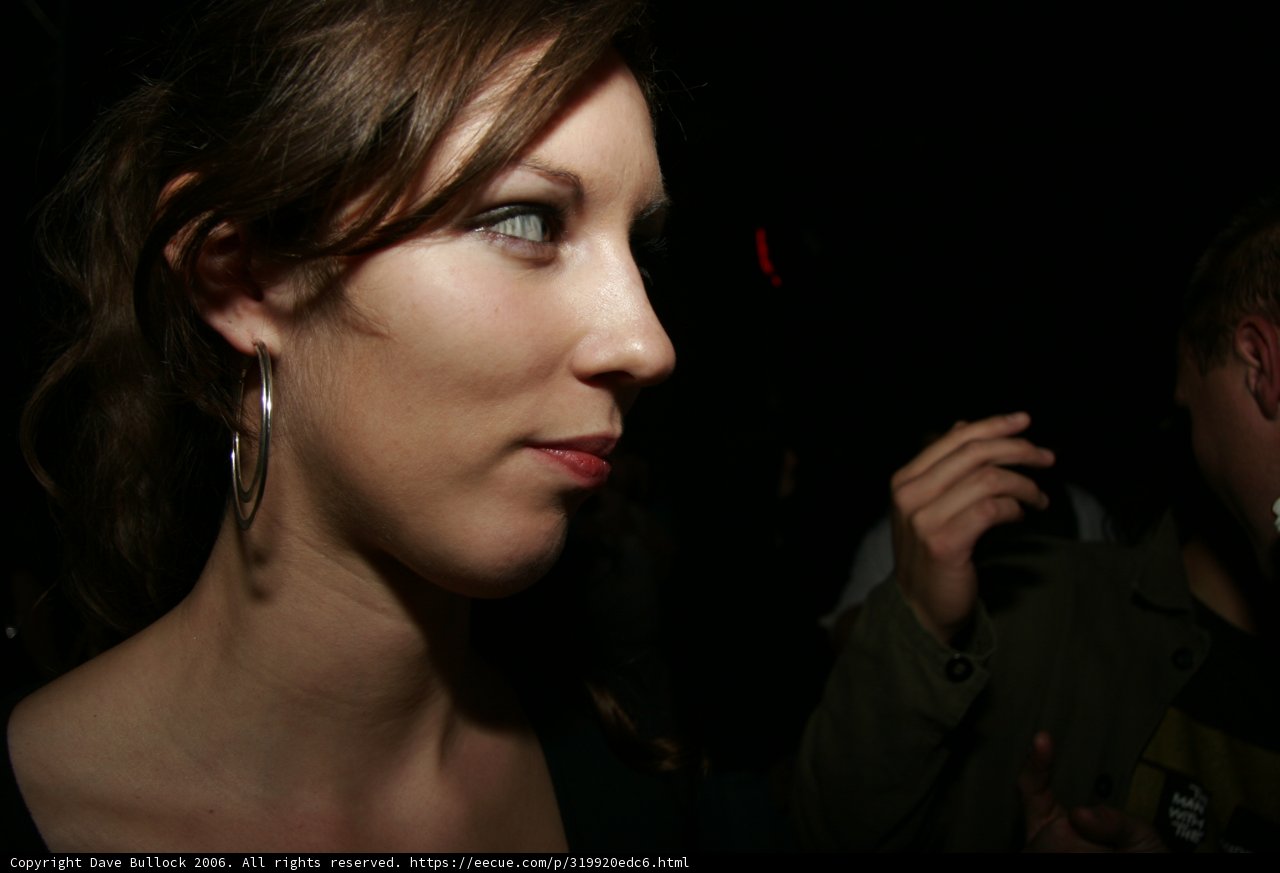 Bold Earrings
