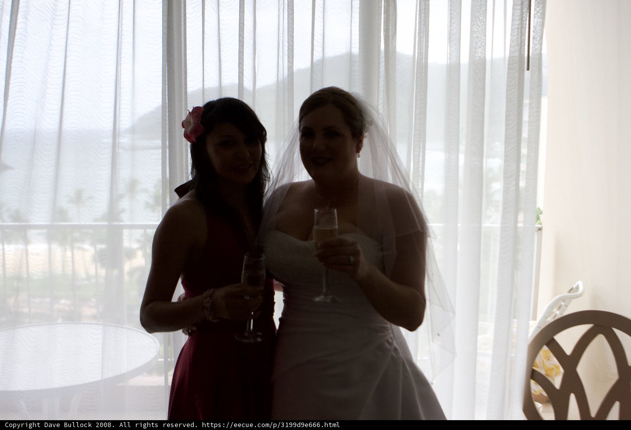 A Formal Toast to Happiness