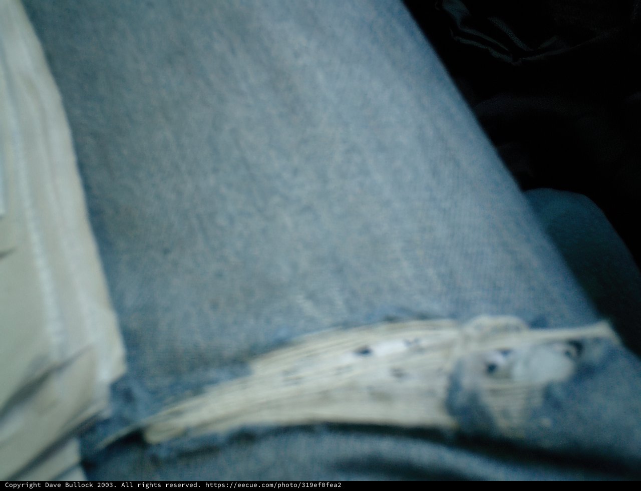 Tattered Denim
