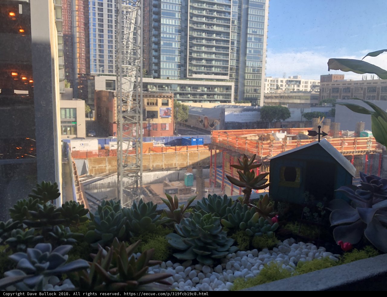 Urban Oasis