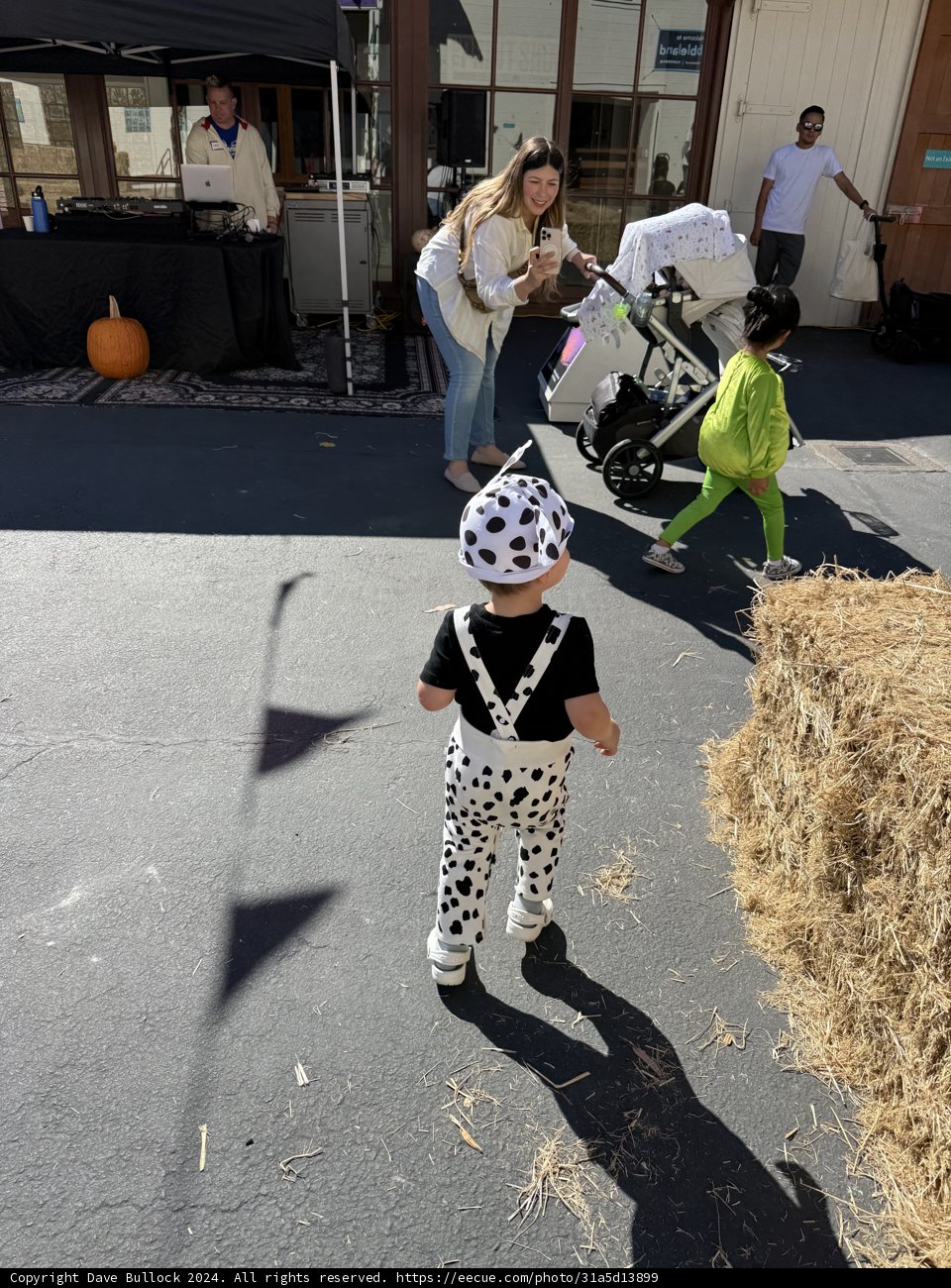 Urban Adventures in Costume