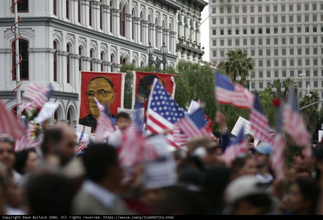 Patriotic Crowd