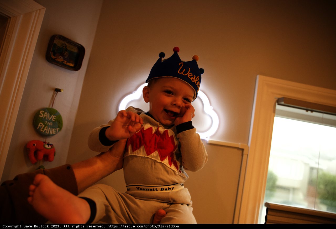 Majesty at Its Cutest: Wesley Turns One