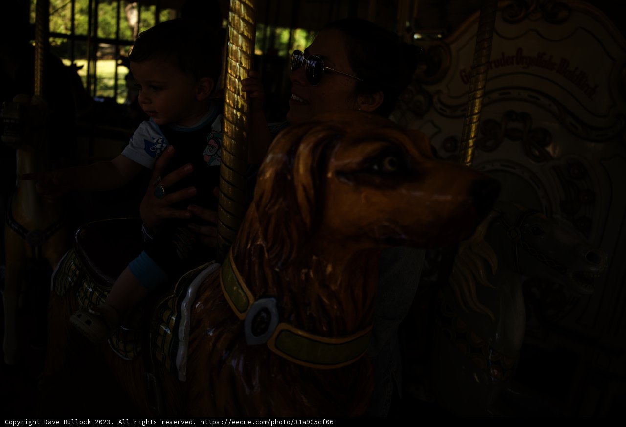 Joyful Carousel Moments at Golden Gate Park