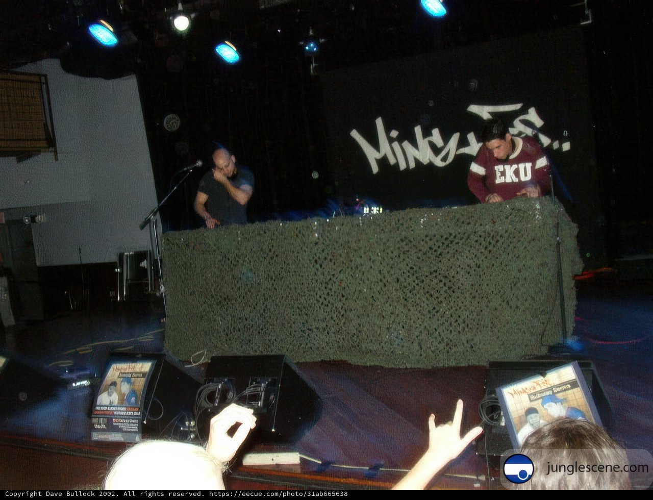 Concert Performance