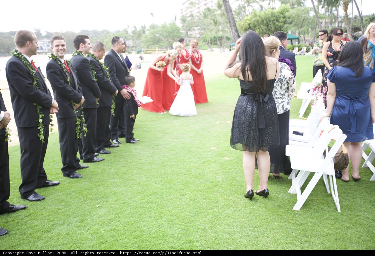 Formal Wedding Party