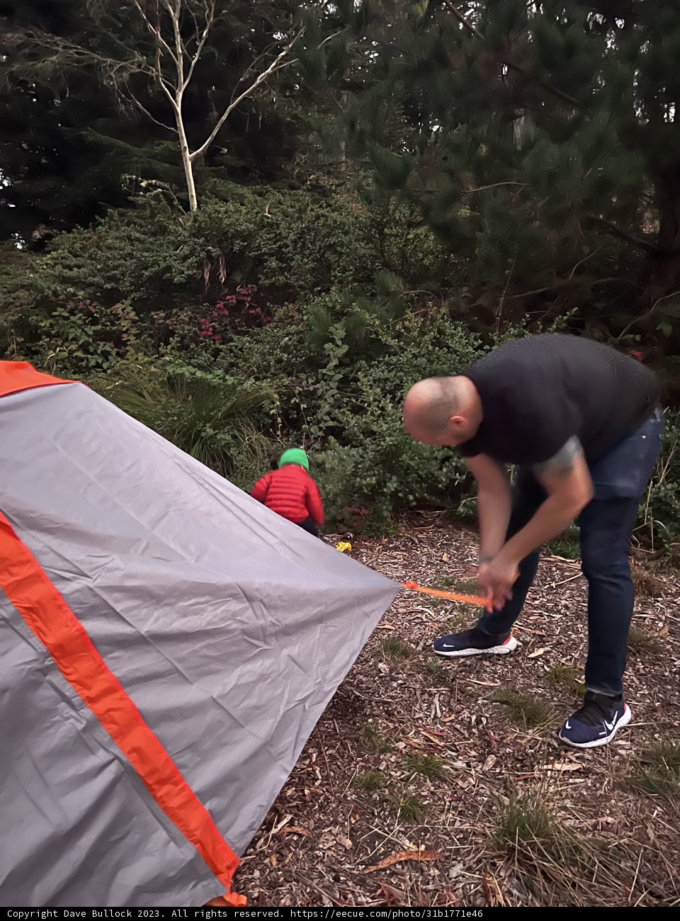 The Striving Camper in Presidio