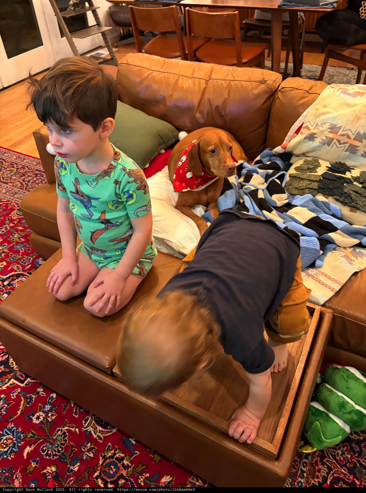 Cozy Family Morning with Kids, Dogs, and Pajamas