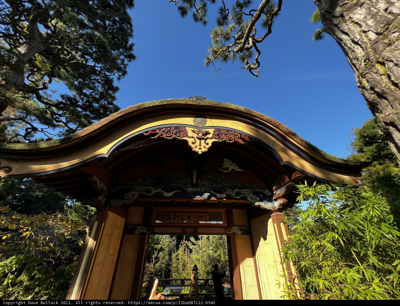 Serene Wooden Shelter in Japanese Tea Garden