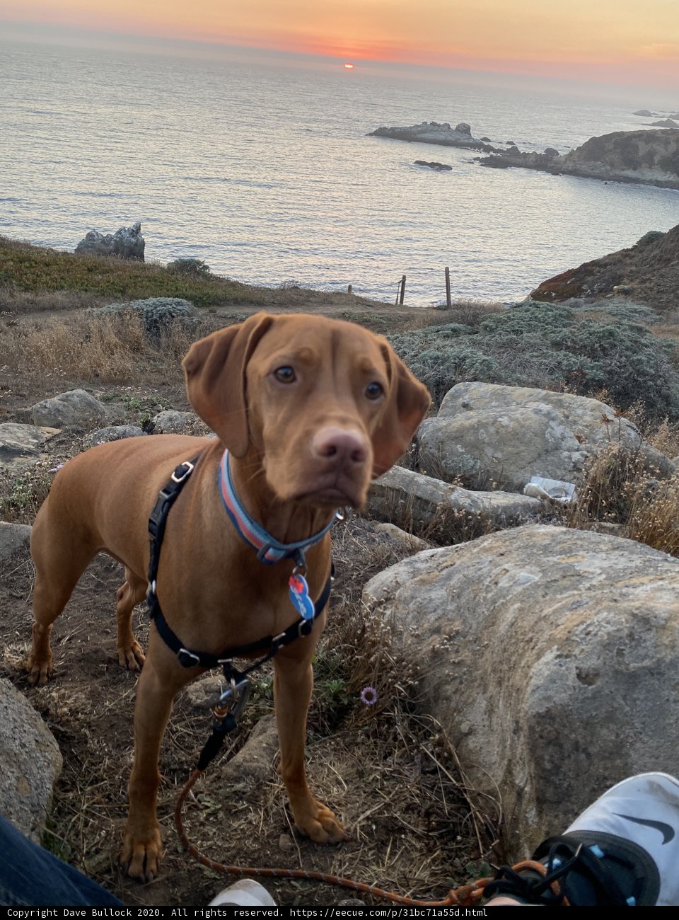 Rocky Solitude