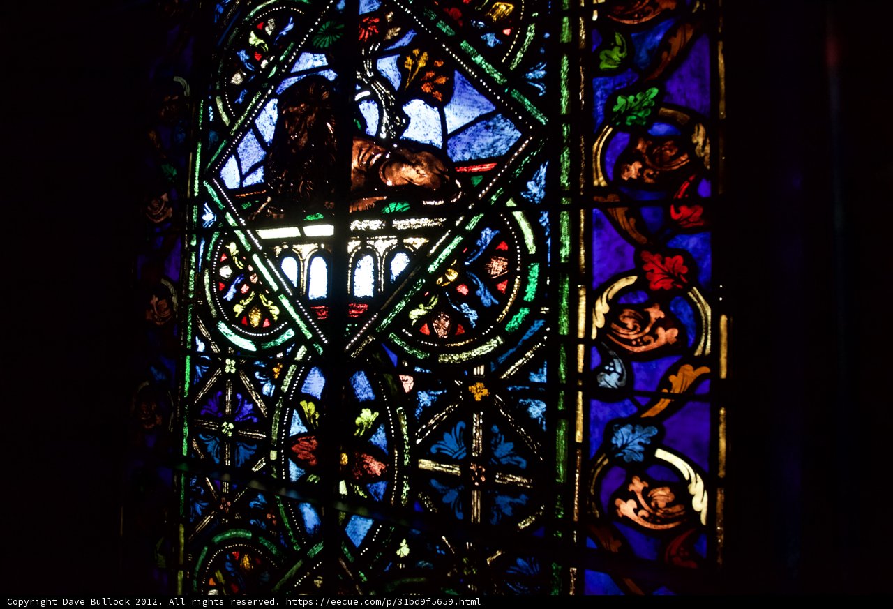 Beauty In Glass