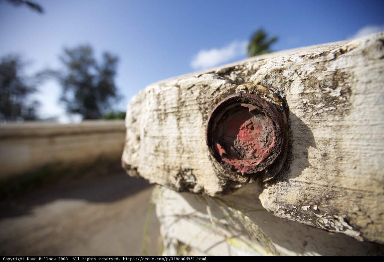 The Rusty Button