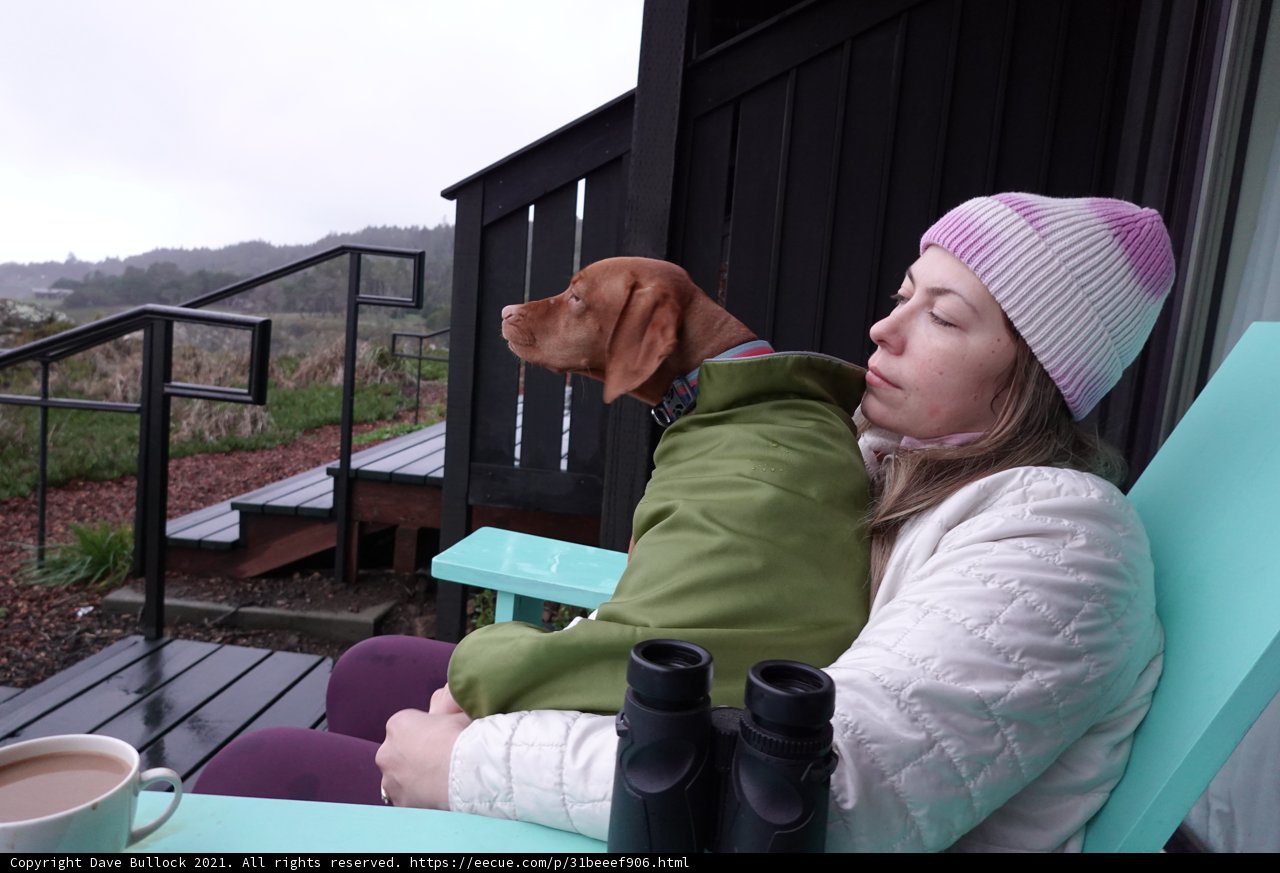 Woman and Dog Enjoying Coffee in the Outdoors
