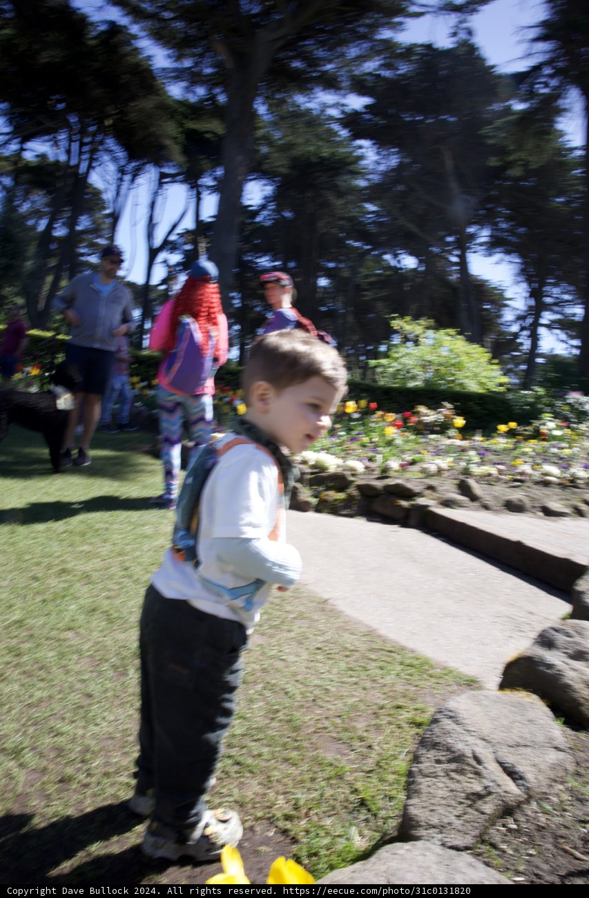 Day Out in the Park: Embracing Nature's Playground