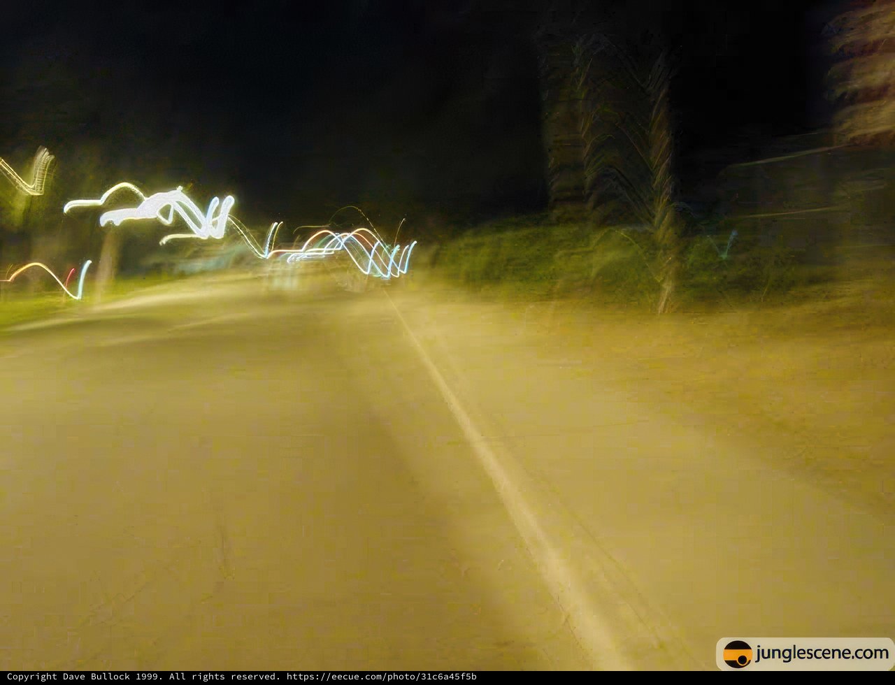 Night Drive through the Urban Jungle