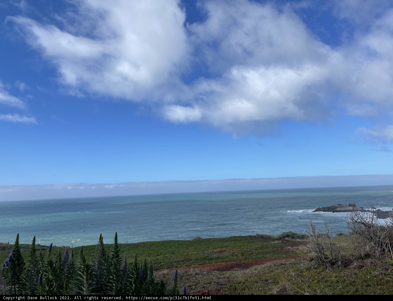 A Majestic View of the Ocean from a Hill in Jenner, California