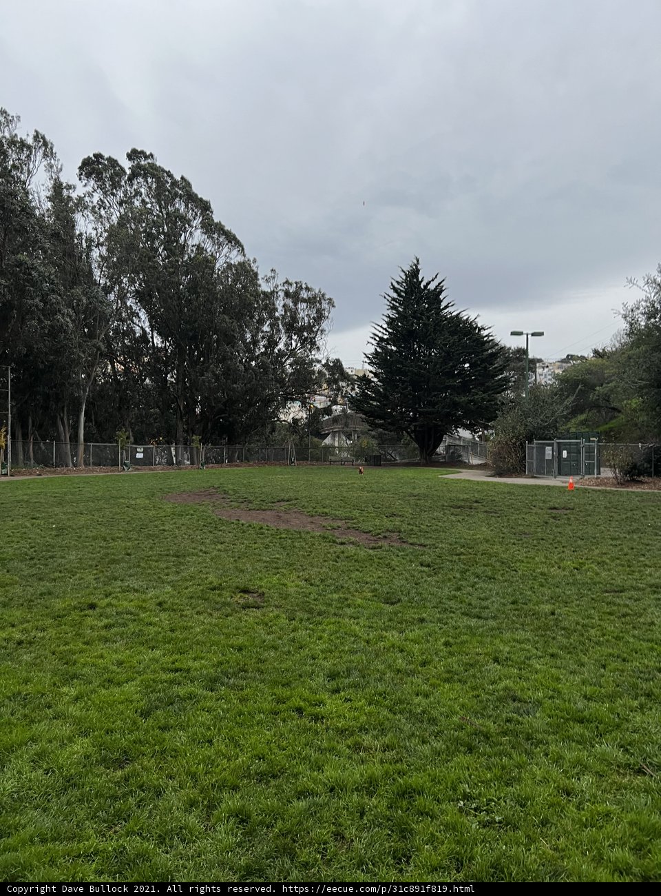 Serene Nature at the Baseball Field
