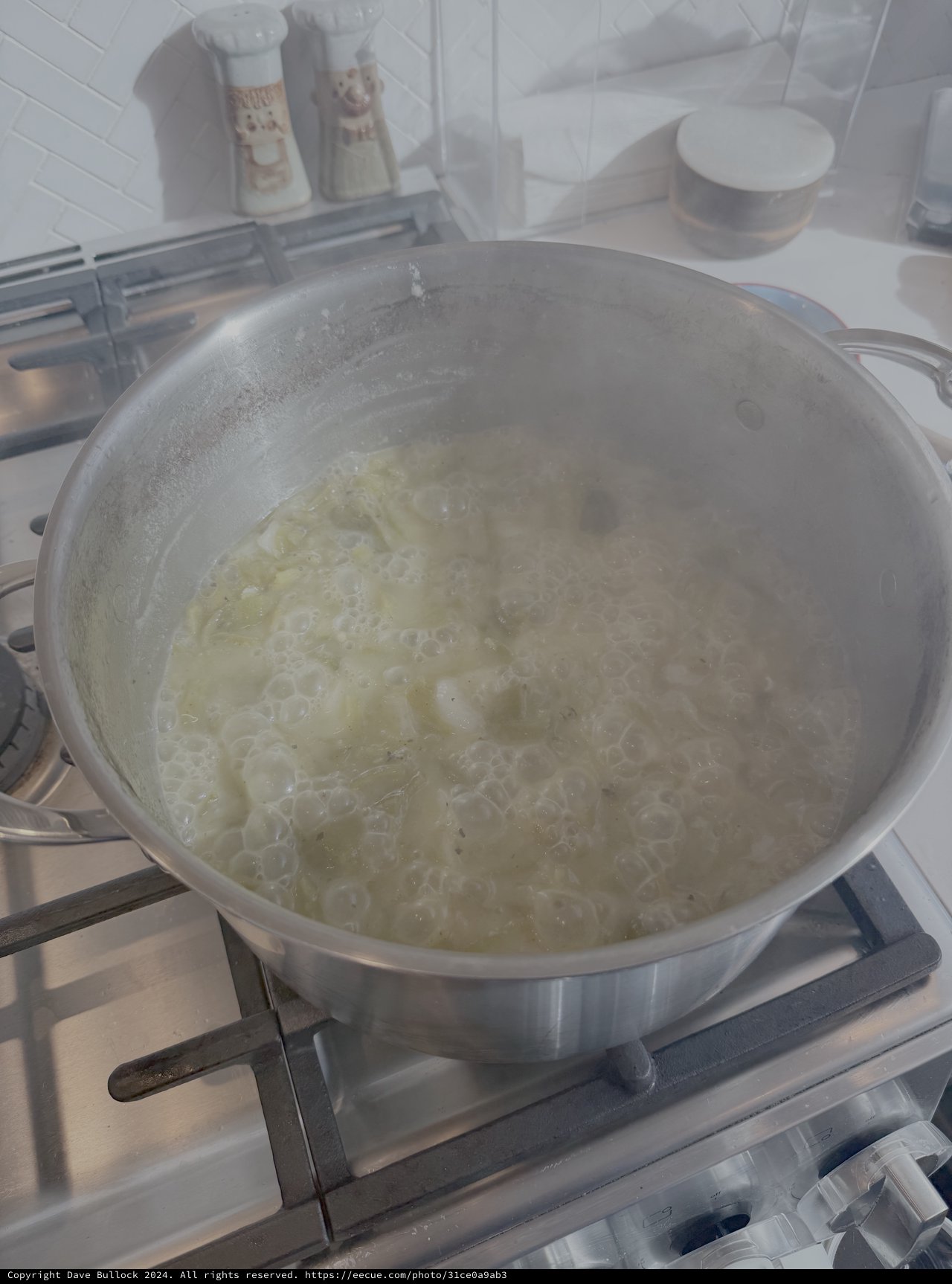 Steaming Onions Cooking in Kitchen Pan