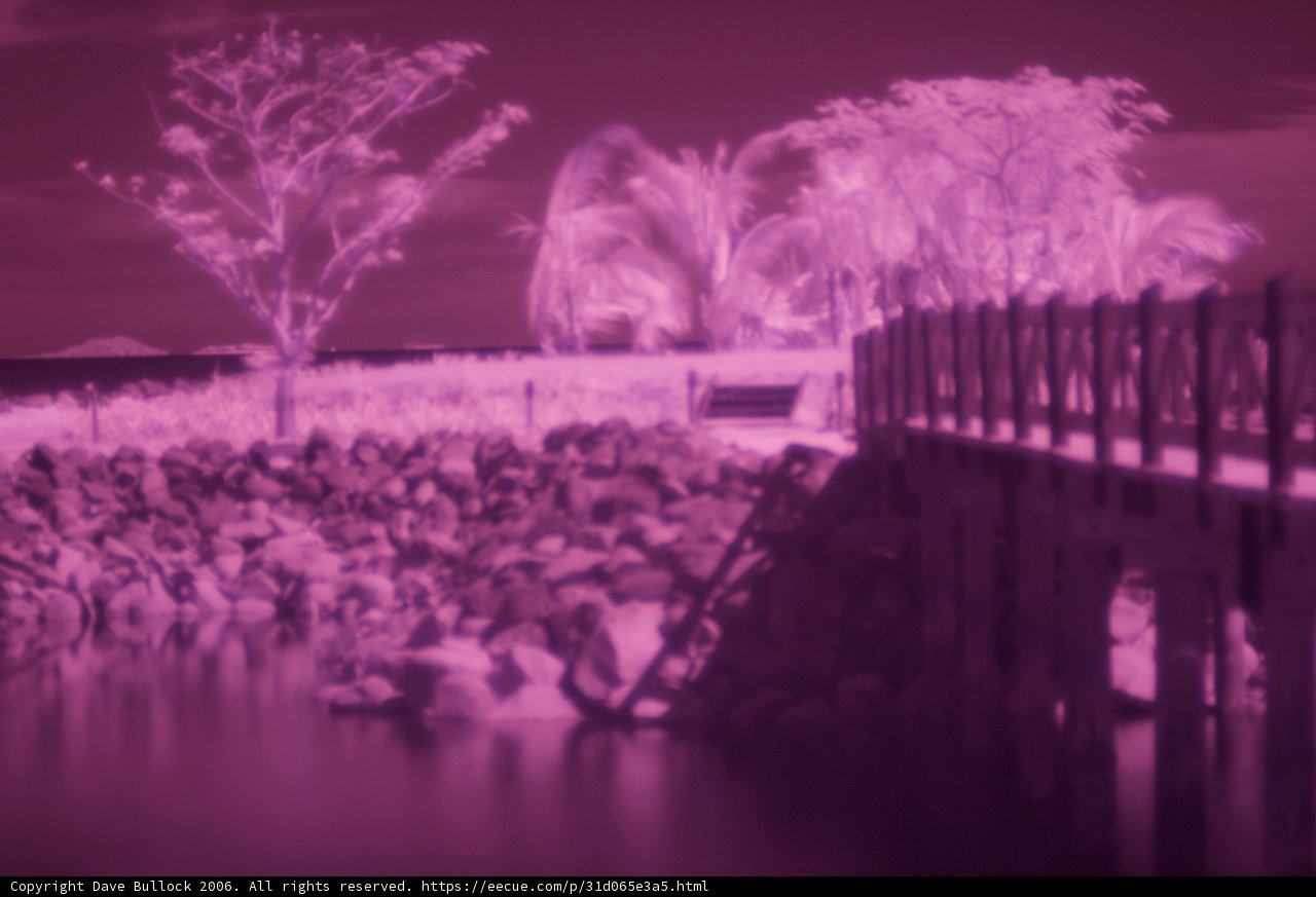 Purple Twilight at Waterfront